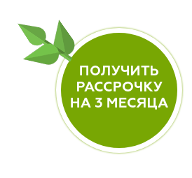 Получить рассрочку на 3 месяца